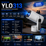 YLO313-4.png
